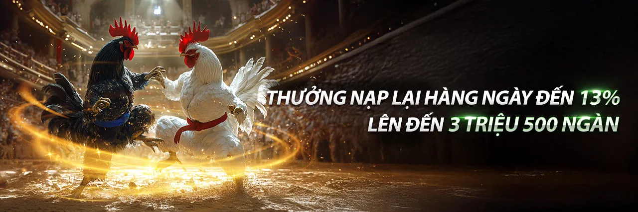 Sân đấu đá gà kịch tính tại 33win4 khuyến mãi